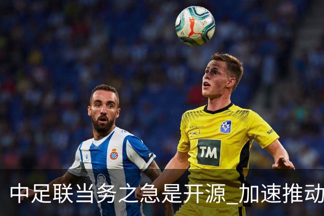 中足联当务之急是开源 加速推动中国足球职业化